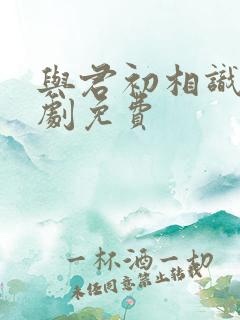 与君初相识电视剧免费