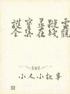 护宝寻踪电视剧全集在线观看免费播