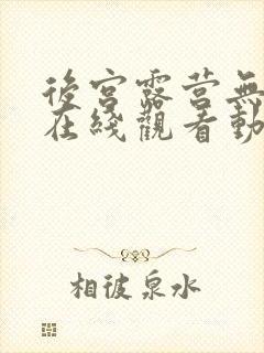 后宫露营无删减在线观看动漫