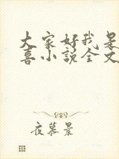 大家好我是林小喜小说全文