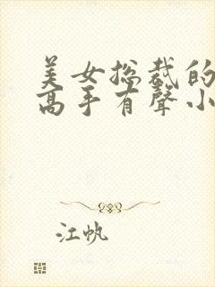 美女总裁的贴身高手有声小说在线收听