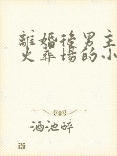 离婚后男主追妻火葬场的小说