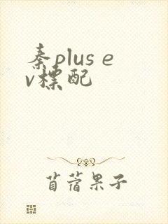 秦plus ev标配