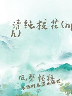 清纯校花(nph)