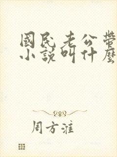 国民老公带回家小说叫什么