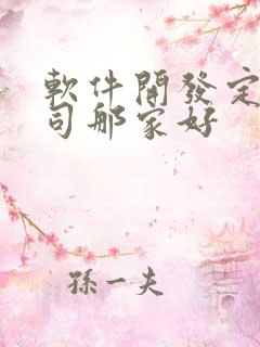 软件开发定制公司那家好