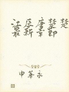 江辰唐楚楚最快最新章节