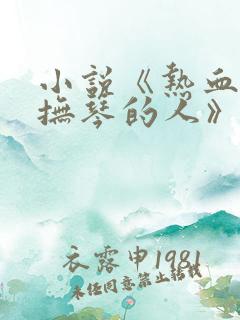 小说《热血争锋抚琴的人》