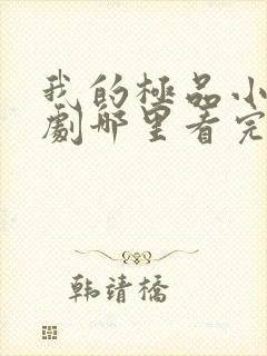 我的极品小姨短剧哪里看完整版