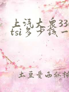 上汽大众330tsi多少钱一台
