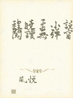 程晓柔小说免费阅读无弹窗