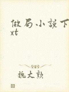 做局小说下载txt