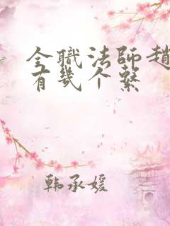 全职法师赵满延有几个系