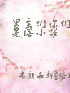 男主们你们是不是瞎小说
