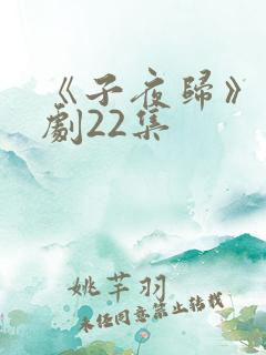 《子夜归》电视剧22集