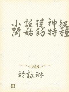 小说从神级选择开始的特种兵