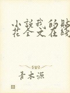 小说我的贴身校花全文在线阅读