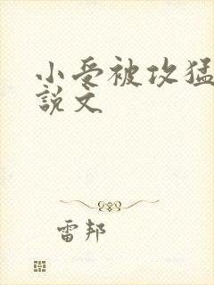 小受被攻猛操小说文