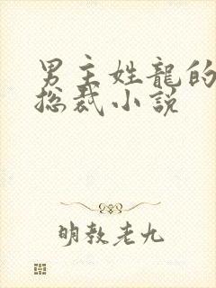 男主姓龙的霸道总裁小说