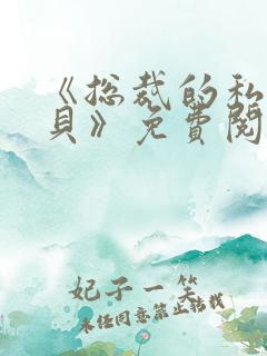 《总裁的私有宝贝》免费阅读