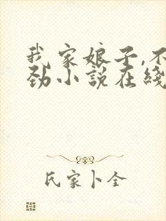 我家娘子,不对劲小说在线免费