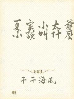 夏家小太爷原著小说叫什么名字