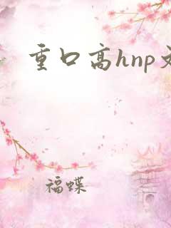 重口高hnp文