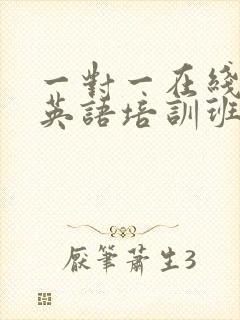 一对一在线外教英语培训班哪个好