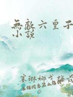 无敌六皇子云铮小说