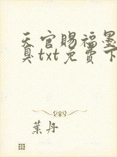 天官赐福墨香铜臭txt免费下载
