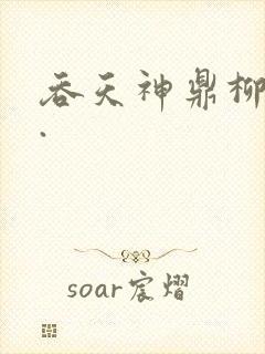 吞天神鼎柳无邪.