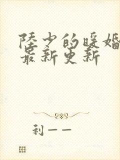 陆少的暖婚新妻最新更新