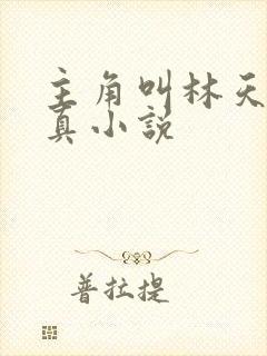 主角叫林天的修真小说