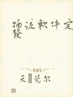 物流软件定制开发