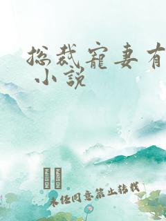 总裁宠妻有点甜 小说