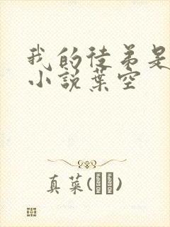 我的徒弟是女帝小说叶空