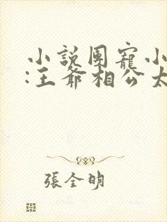 小说团宠小萌妃:王爷相公太凶猛