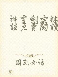 神霄剑宗林枫小说免费阅读