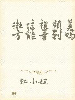 微信视频美颜对方能看到吗
