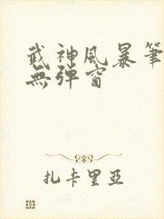 武神风暴笔趣阁无弹窗