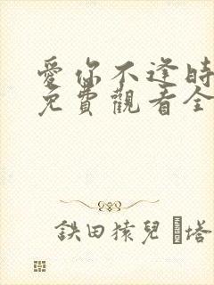 爱你不逢时短剧免费观看全集剧情