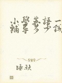 小学英语一对一辅导多少钱一小时