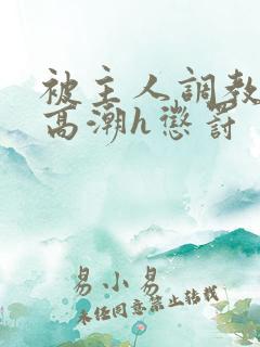 被主人调教当众高潮h惩罚