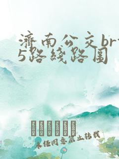 济南公交brt5路线路图