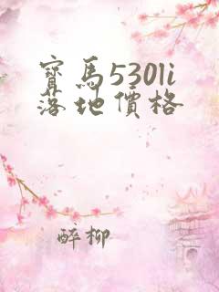 宝马530li落地价格