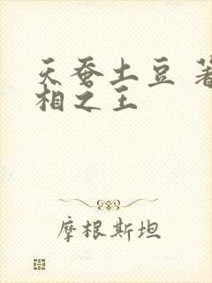 天蚕土豆 著万相之王