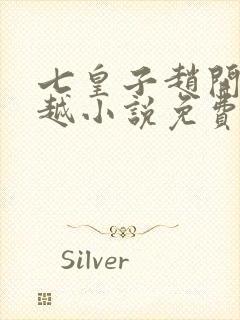 七皇子赵开的穿越小说免费阅读