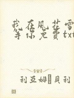 我在风花雪月里等你免费txt下载