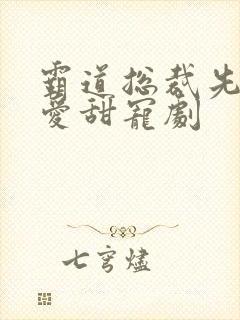 霸道总裁先婚后爱甜宠剧