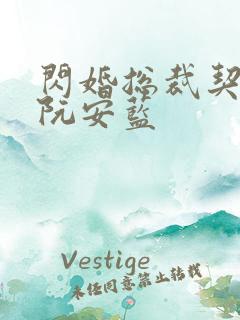 闪婚总裁契约妻阮安蓝
